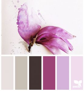 colorpalette2